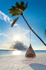 Tropical maldives beach with palm and swing - obrazy, fototapety, plakaty