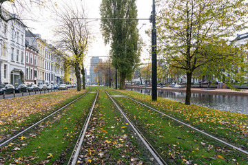Fototapeta premium ROTTERDAM, Netherlands - November 12, 2016 : Street view of Rotterdam City Netherlands. back to 1270 when a dam was constructed in the Rotte river by people settled around it for safety.