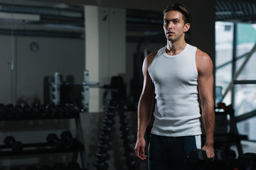 Fototapeta na wymiar Fit young man exercising with dumbbells in gym