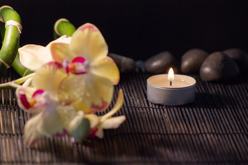Gelbe Orchideen auf einer Bambusmatte mit Kerzen und schwarzen Steinen