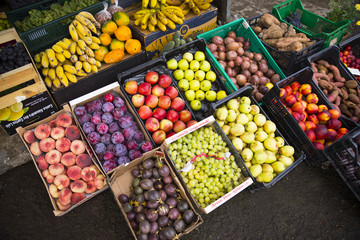 fruits of the vegetable at the market