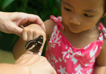 Butterfly on kid's hand