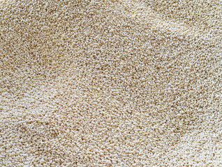 Asure wheat- Edible asure white wheat
