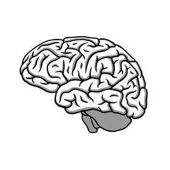 Black & white human brain profile illustration