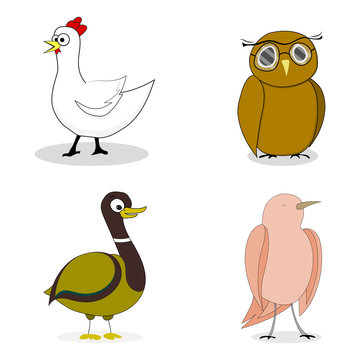 Set of birds vector character