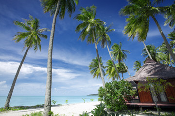 View of nice bungalow on  tropical empty sandy beach with some palm