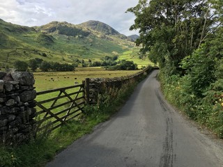 Fototapeta na wymiar Narrow Country Road in the Lake District