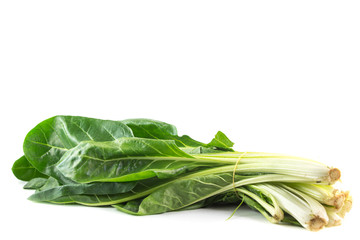 Bietola su sfondo bianco