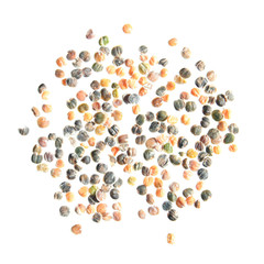 Seeds of wallflower (Erysimum cheiri) on white background