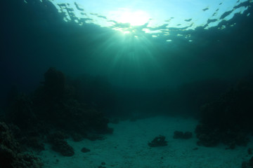 Fototapeta na wymiar Water surface and coral reef