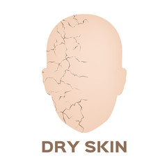 dry skin face icon and vector