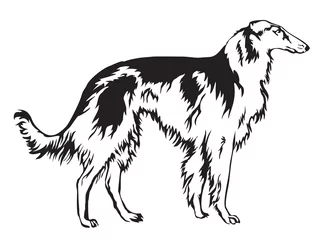 Tapeten Decoratie Russian wolfhound vector illustration.eps © alinart