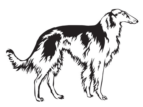 Decoratie Russian wolfhound vector illustration.eps