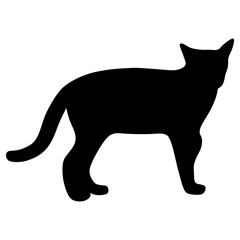 Black silhouette of cat. Vector illustration.