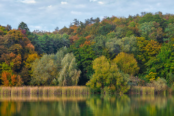 sunny autumn landscape with forest and lake