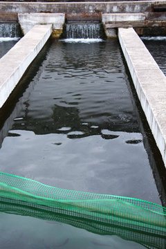 Fish farm using the natural water