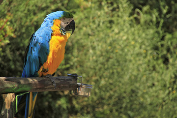 Paphos Zoo, Paphos - Zoo © vianido