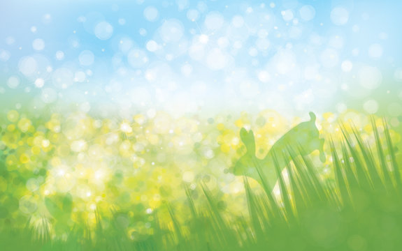 Vector  rabbits in  grass nature background.