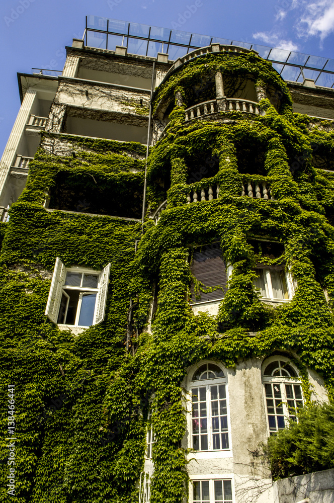 Wall mural Old house, overgrown with clamberer, Slovenia, Northern Slovenia