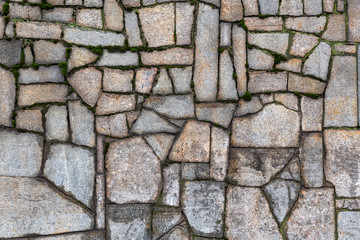 Textured gray wall with cracks and moss