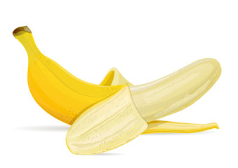 Isolated banana on white background vector illustration.