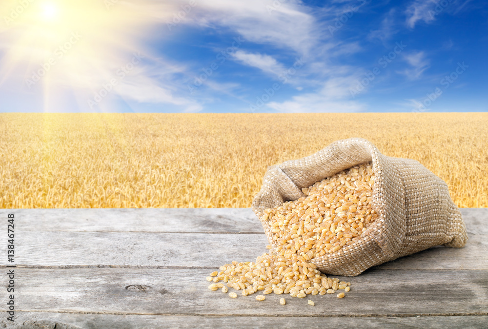 Wall mural Cereal grains with ripe field