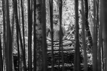 Buddha statue in middle of bamboo forest.