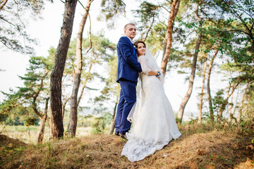 Fototapeta premium Bride and groom at pine forest, lovely wedding couple at nature.