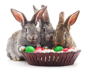 Easter rabbits with colored eggs.
