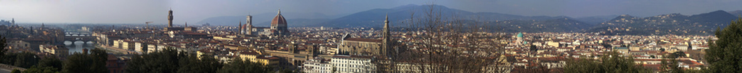 Florence panorama city skyline