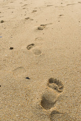 Fototapeta na wymiar Footprints on the sand at sunset time.