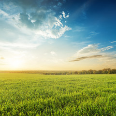sunset in blue sky over green agricultural field