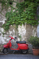 Fototapeta na wymiar Red scooter is worth the old peeling walls covered with climbing plants