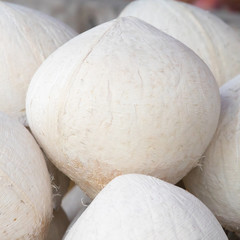 white coconut