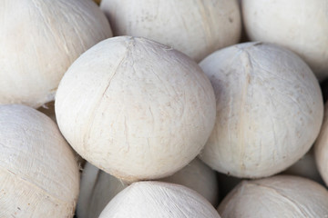 many white coconuts