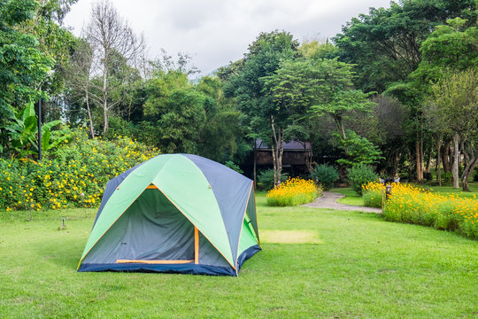 Tent camping relaxing on lawn backyard