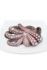 Polipo fresco su piatto su sfondo bianco