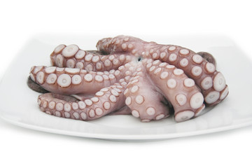 Polipo fresco su piatto su sfondo bianco