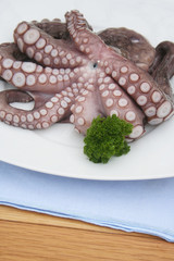 Polipo fresco con prezzemolo su piatto su tavolo di legno