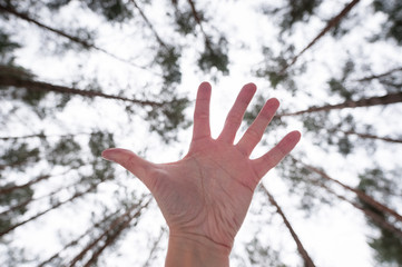 Save the world. Stop the global warming! Save the forests.
