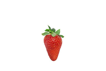 one small bright strawberry