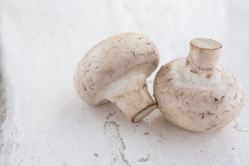 two full-grown mushroom champignon