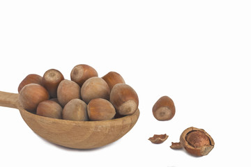 wooden spoon full of dry forest nuts
