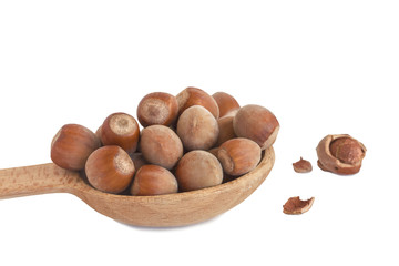 wooden spoon full of small timber of dry nuts