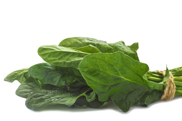 young green leaves of spinach beam