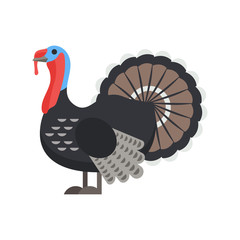 Vector flat style illustration of turkey.