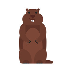 Vector flat style illustration of marmot.