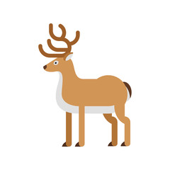 Vector flat style illustration of deer