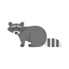 Vector flat style illustration of raccoon.