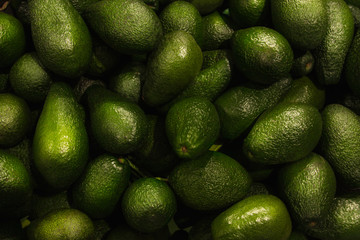 Avocados close up